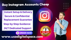 Buy Instagram Accounts Cheap